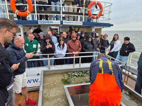 Met de boot het wad op